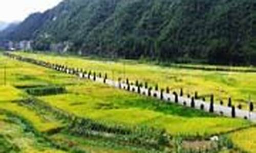 福建宁德寿宁天气预报_福建宁德寿宁天气预报7天