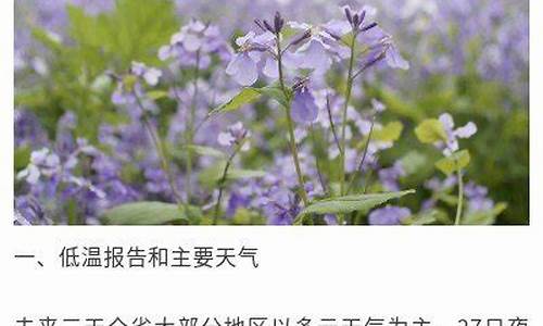 扬州未来20天天气预报查询_扬州未来一周天气情况查询表格最新版