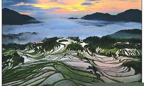 丽水天气预报一周天气预报查询_丽水天气预报15天查询2345