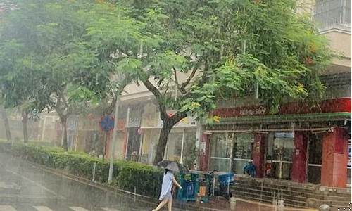 厦门今天下雨了吗_厦门今天几点下雨