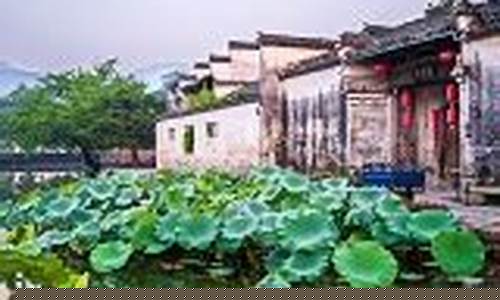 休宁天气15天预报_休宁一周天气预报