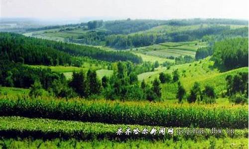 拜泉天气预报15天预报_拜泉天气预报15天预报查询
