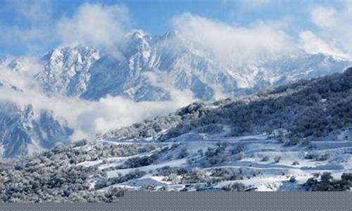 茂县天气预报7天准确_茂县天气预报7天查询最新消息