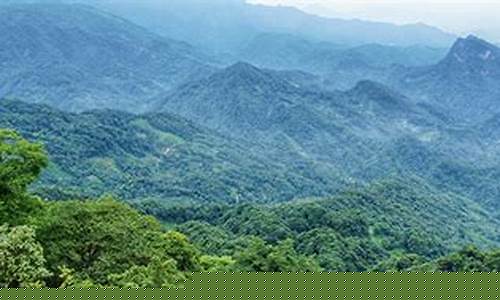 四姑娘山天气_青城山天气