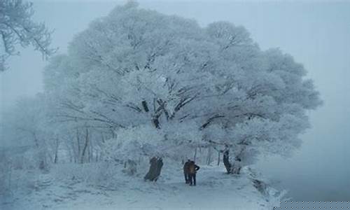 尚志天气预报17天_尚志15天天气
